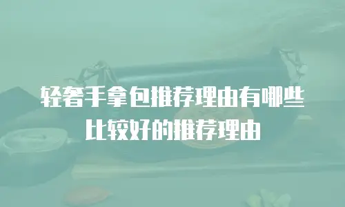 轻奢手拿包推荐理由有哪些比较好的推荐理由