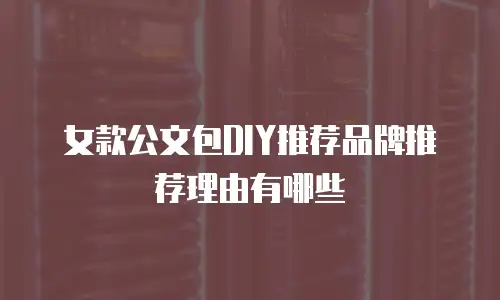 女款公文包DIY推荐品牌推荐理由有哪些