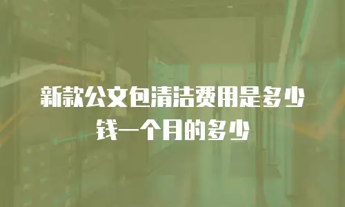 新款公文包清洁费用是多少钱一个月的多少