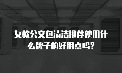 女款公文包清洁推荐使用什么牌子的好用点吗？