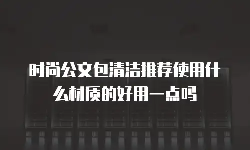 时尚公文包清洁推荐使用什么材质的好用一点吗