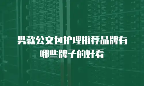 男款公文包护理推荐品牌有哪些牌子的好看