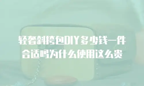 轻奢斜挎包DIY多少钱一件合适吗为什么使用这么贵