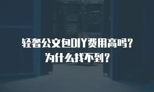 轻奢公文包DIY费用高吗？为什么找不到？