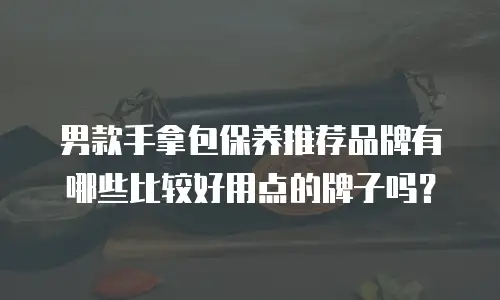 男款手拿包保养推荐品牌有哪些比较好用点的牌子吗？