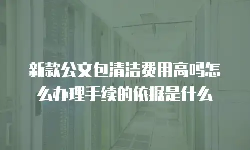新款公文包清洁费用高吗怎么办理手续的依据是什么