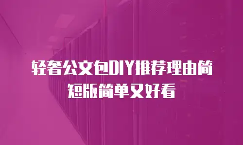 轻奢公文包DIY推荐理由简短版简单又好看