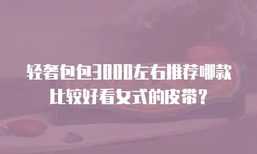 轻奢包包3000左右推荐哪款比较好看女式的皮带？