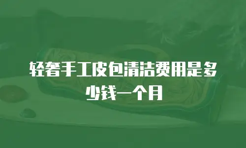轻奢手工皮包清洁费用是多少钱一个月
