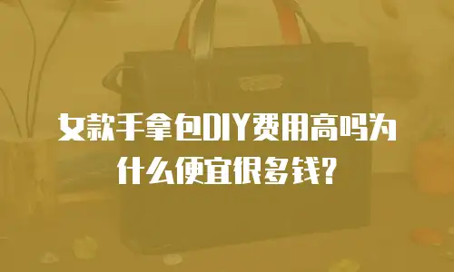 女款手拿包DIY费用高吗为什么便宜很多钱？
