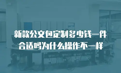 新款公文包定制多少钱一件合适吗为什么操作不一样