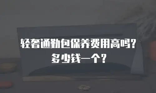 轻奢通勤包保养费用高吗？多少钱一个？