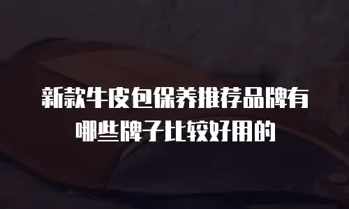 新款牛皮包保养推荐品牌有哪些牌子比较好用的
