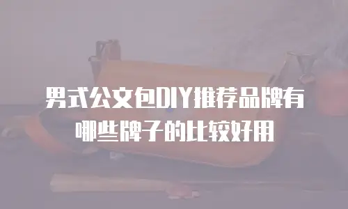 男式公文包DIY推荐品牌有哪些牌子的比较好用