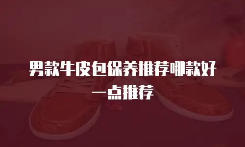 男款牛皮包保养推荐哪款好一点推荐