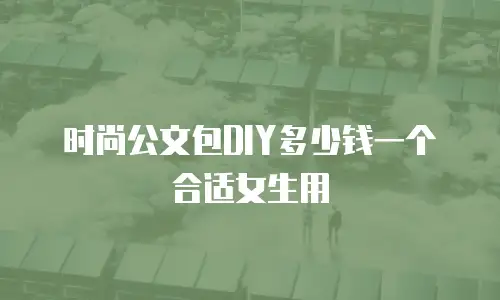 时尚公文包DIY多少钱一个合适女生用
