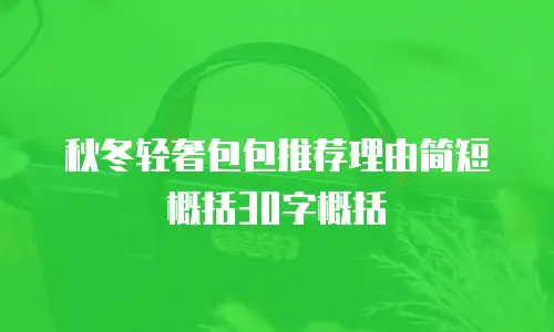 秋冬轻奢包包推荐理由简短概括30字概括