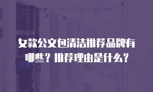 女款公文包清洁推荐品牌有哪些？推荐理由是什么？