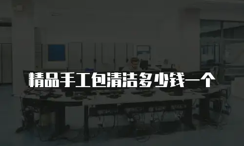精品手工包清洁多少钱一个