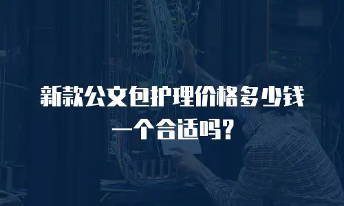 新款公文包护理价格多少钱一个合适吗？