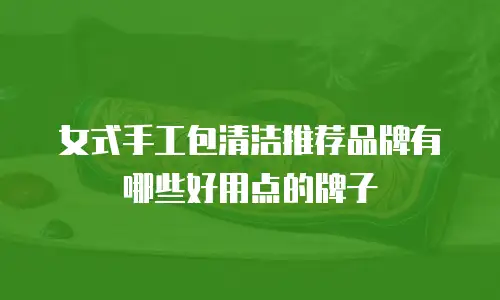 女式手工包清洁推荐品牌有哪些好用点的牌子
