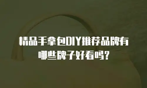 精品手拿包DIY推荐品牌有哪些牌子好看吗？