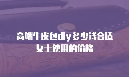 高端牛皮包diy多少钱合适女士使用的价格