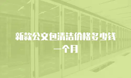 新款公文包清洁价格多少钱一个月