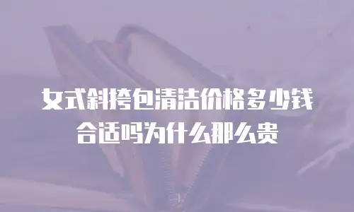 女式斜挎包清洁价格多少钱合适吗为什么那么贵