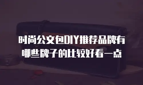 时尚公文包DIY推荐品牌有哪些牌子的比较好看一点