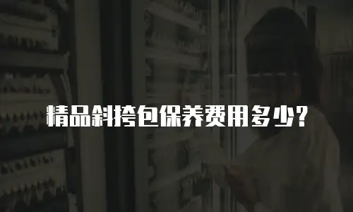 精品斜挎包保养费用多少？