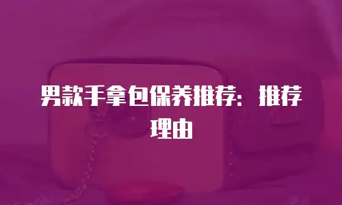 男款手拿包保养推荐：推荐理由