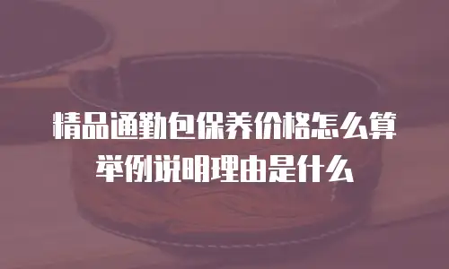 精品通勤包保养价格怎么算举例说明理由是什么