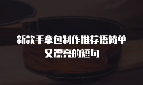 新款手拿包制作推荐语简单又漂亮的短句