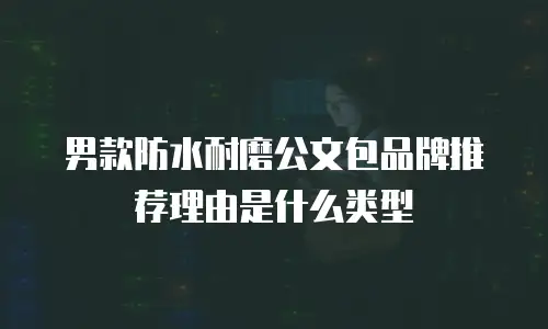男款防水耐磨公文包品牌推荐理由是什么类型