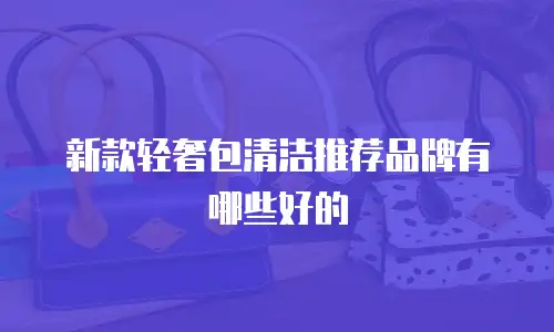 新款轻奢包清洁推荐品牌有哪些好的