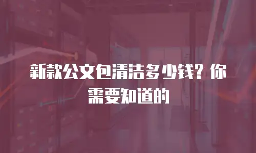 新款公文包清洁多少钱？你需要知道的
