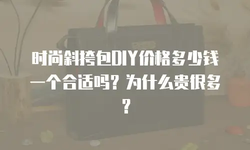 时尚斜挎包DIY价格多少钱一个合适吗？为什么贵很多？