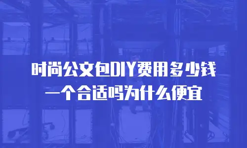 时尚公文包DIY费用多少钱一个合适吗为什么便宜