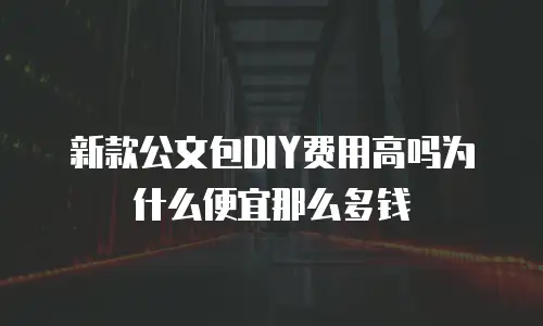 新款公文包DIY费用高吗为什么便宜那么多钱