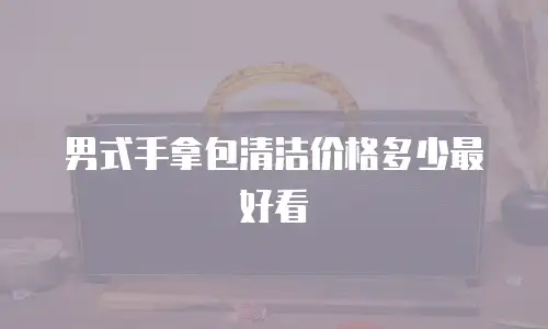 男式手拿包清洁价格多少最好看