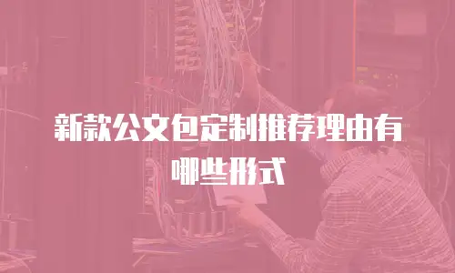 新款公文包定制推荐理由有哪些形式