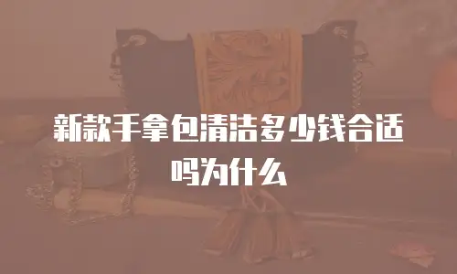 新款手拿包清洁多少钱合适吗为什么