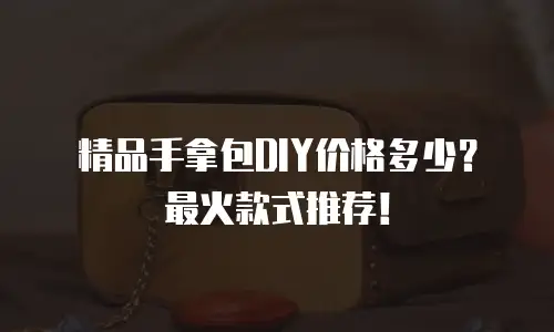 精品手拿包DIY价格多少？最火款式推荐！