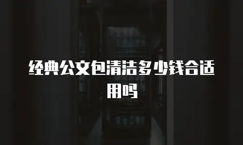 经典公文包清洁多少钱合适用吗