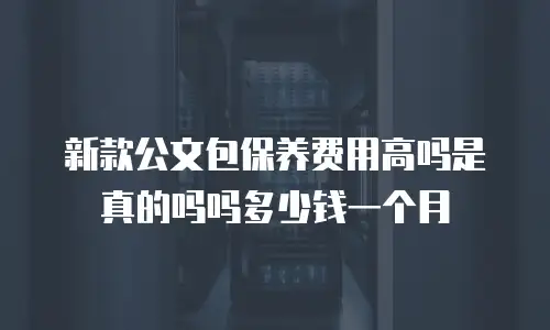 新款公文包保养费用高吗是真的吗吗多少钱一个月