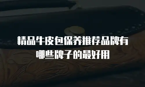 精品牛皮包保养推荐品牌有哪些牌子的最好用