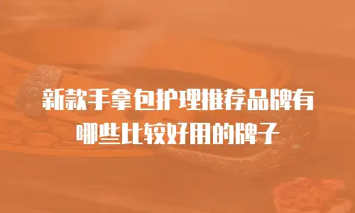 新款手拿包护理推荐品牌有哪些比较好用的牌子