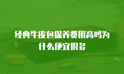 经典牛皮包保养费用高吗为什么便宜很多