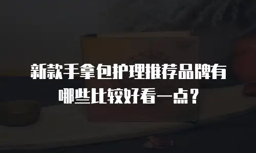 新款手拿包护理推荐品牌有哪些比较好看一点？